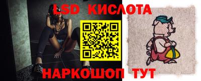 стаф Камышлов