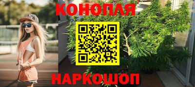 стаф Камышлов