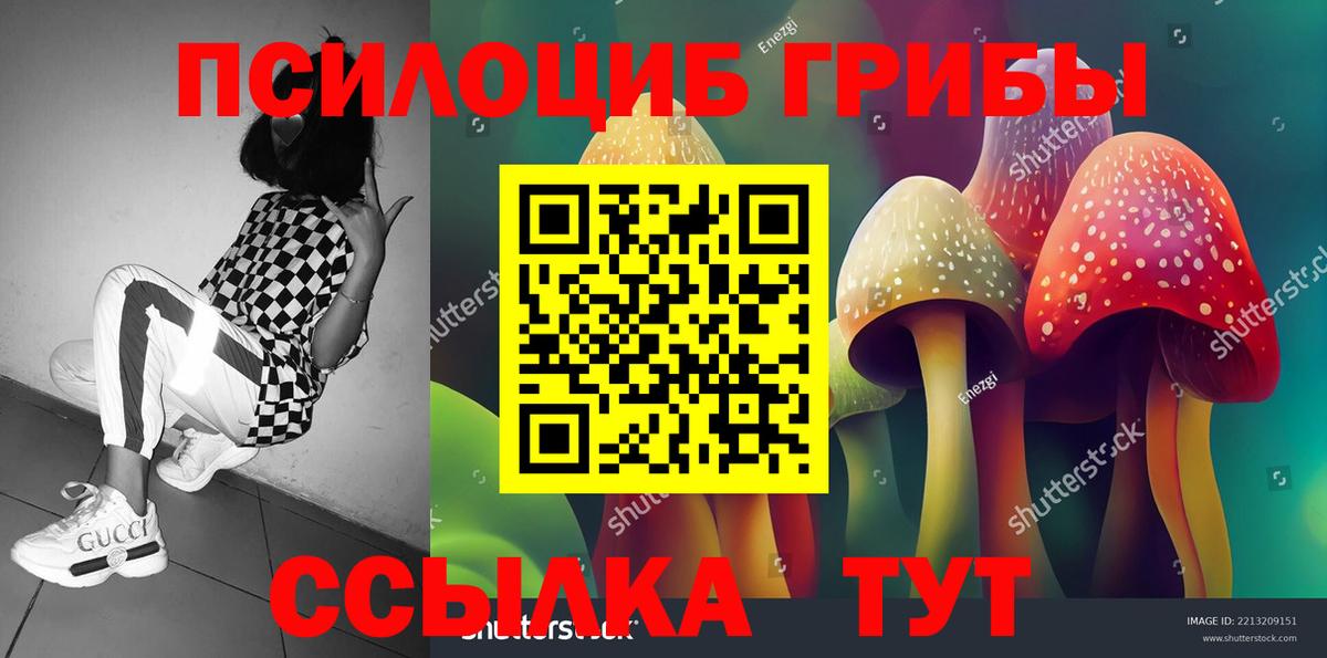 Галлюциногенные грибы Cubensis  Вход с VPN  Куйбышев 